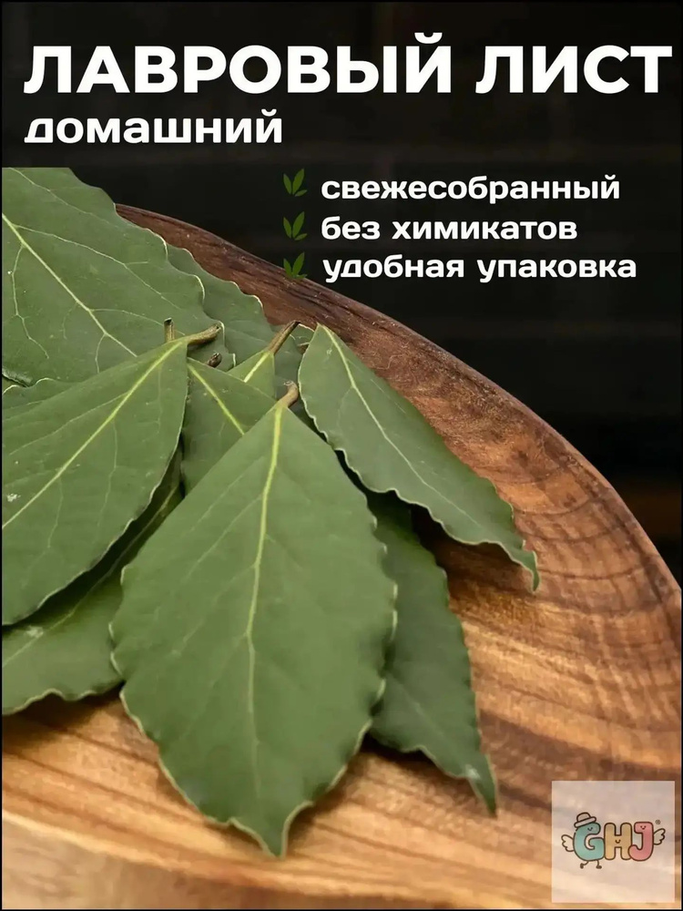 Лавровый лист #1