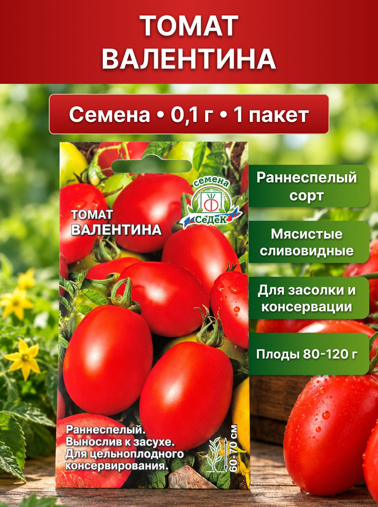 СеДеК Семена #1