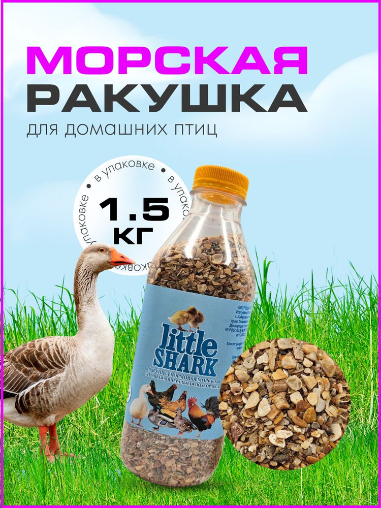 Ракушка морская для птиц Little Shark кормовая мелкая для кур несушек бройлеров цыплят и домашних птиц #1