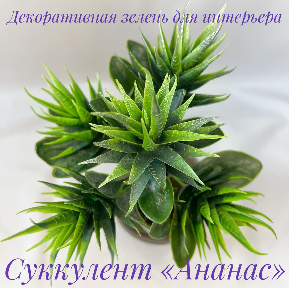 Купить Искусственный суккулент "Ананас" по выгодной цене в интернет ...