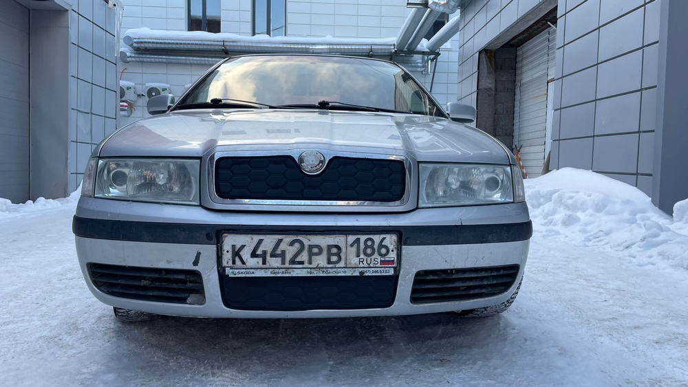 Утеплитель радиатора и бампера для Skoda Octavia (A4)Tour Шкода Октавия Тур(1996 -2000)  #1