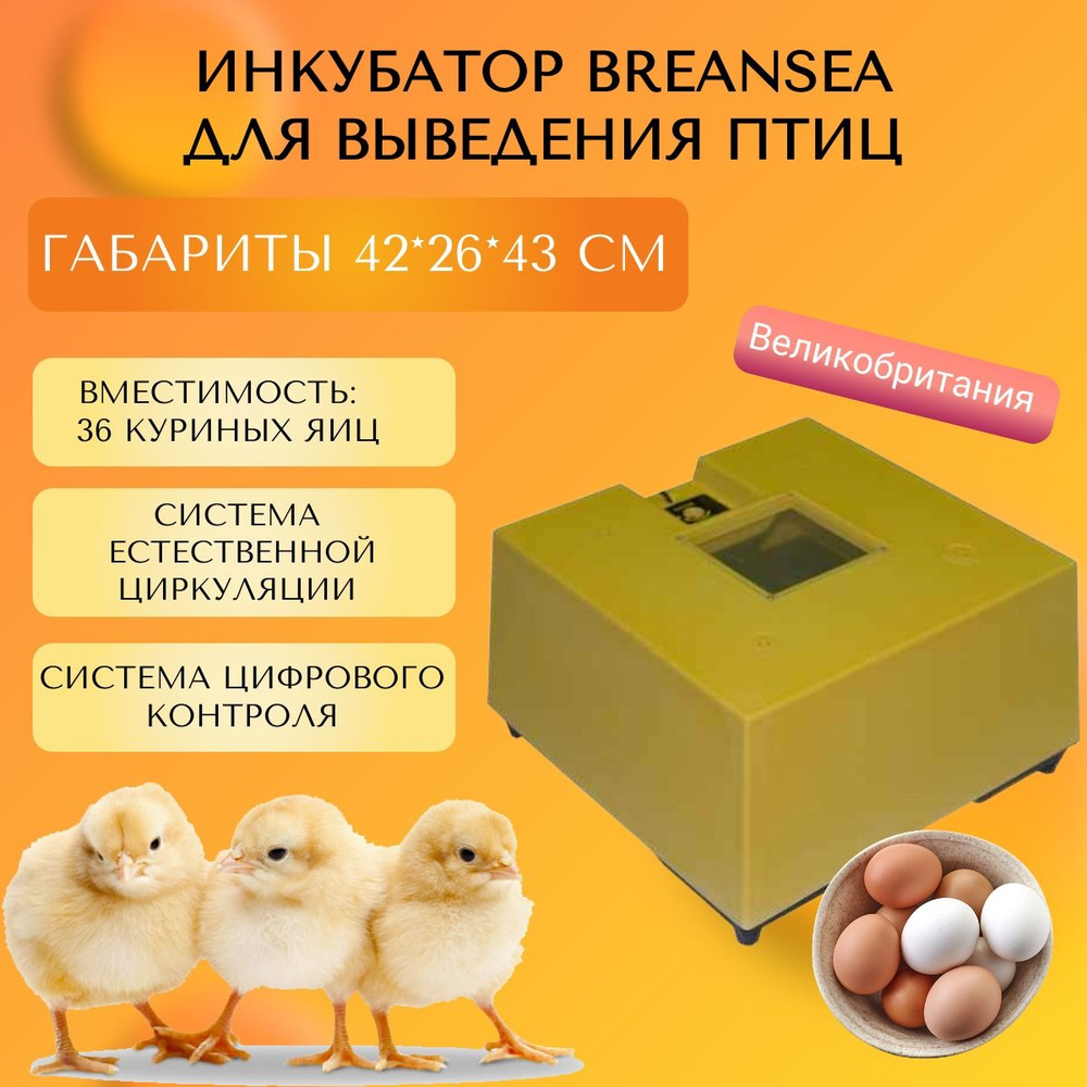 Инкубатор Brinsea Hatchmaker для выведения птенцов рассчитан на 36 яиц