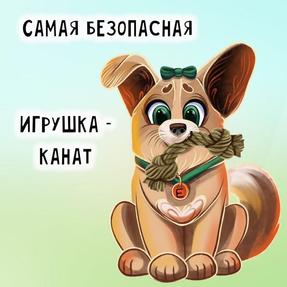 Игрушка для собак из кокосового волокна - Канат