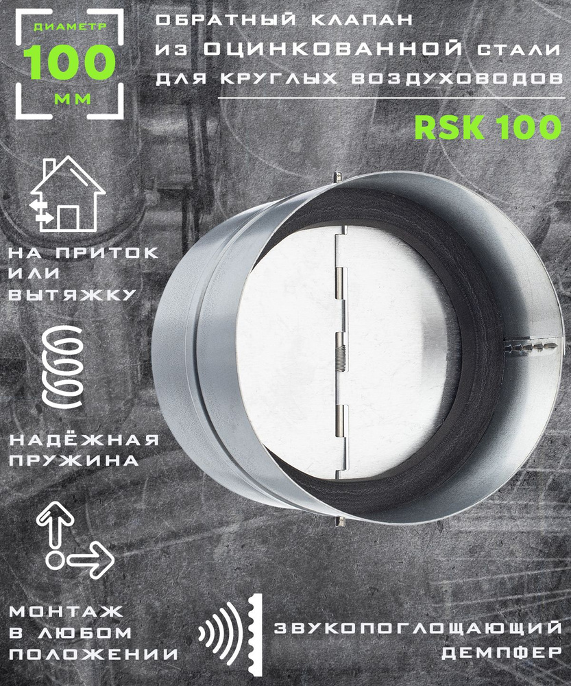 100 RSK Клапан обратный вентиляционный из оцинкованной стали, диаметр 100 мм  #1