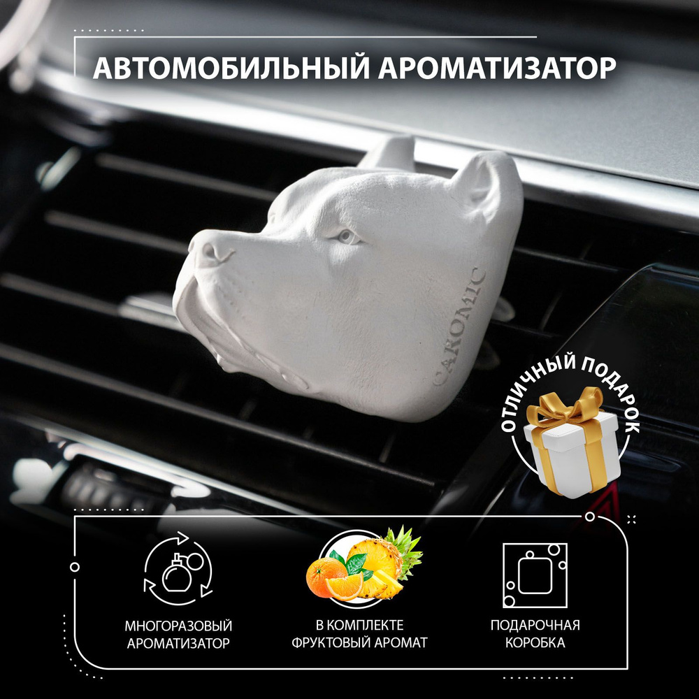 CAROMIC Ароматизатор автомобильный, Фруктовый, 10 мл