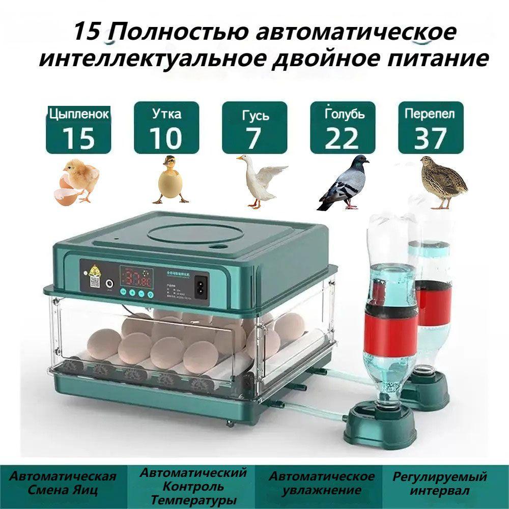 Инкубатор для яиц с функцией автоматического переворачивания яиц и ...