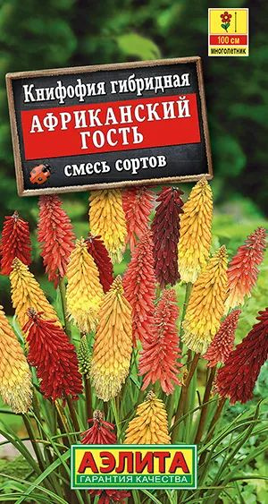 Семена Книфофия Африканский гость, смесь сортов (30 семян) - Агрофирма Аэлита  #1