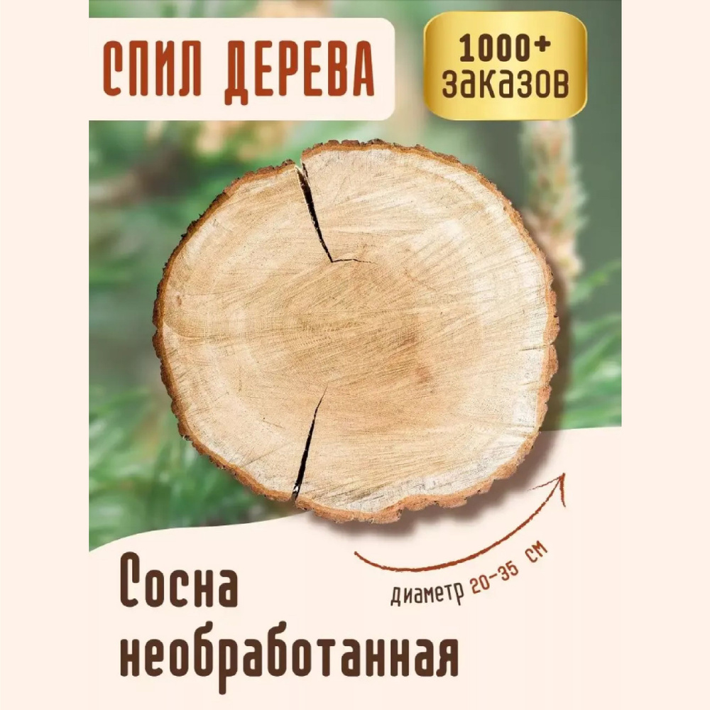 Деревянный спил круглый из Сосны 20-35 см купить на OZON по низкой цене ...