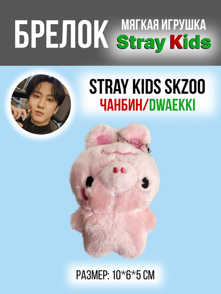 Брелок на рюкзак k-pop Stray Kids SKZOO Стрей Кидс СКЗ ЧАНБИН DWAEKKI 1  #1