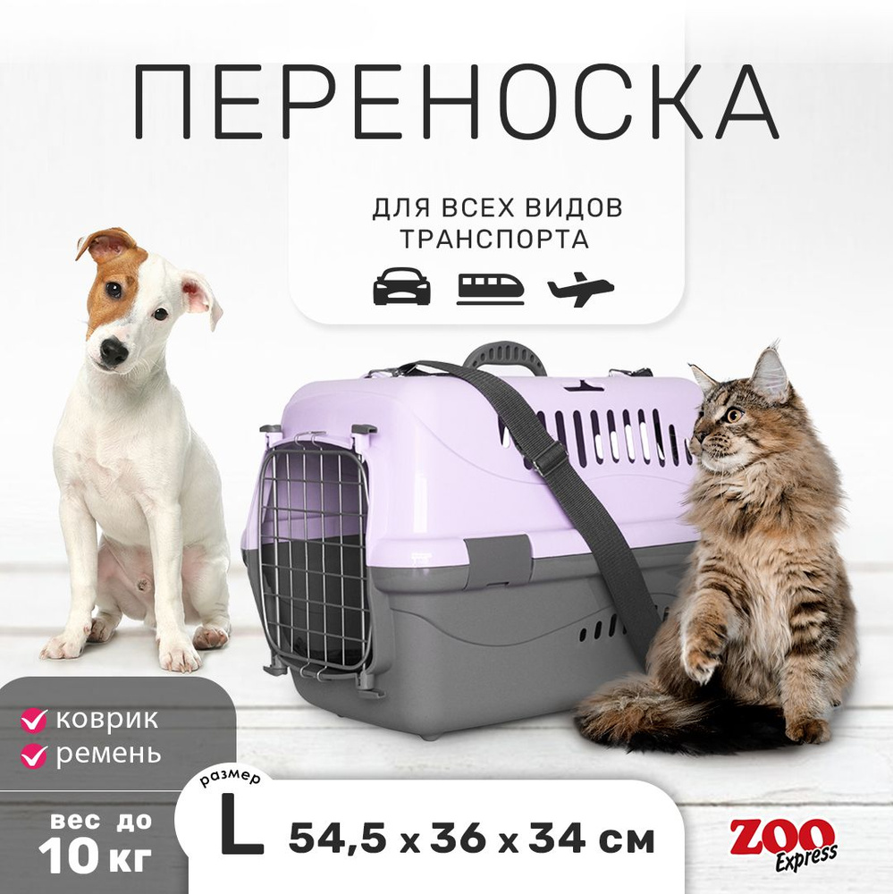 Клиппер-переноска для кошек и собак ZOOexpress Турне 54,5х36х34 см (L), дверца с фиксацией, КОВРИК + #1