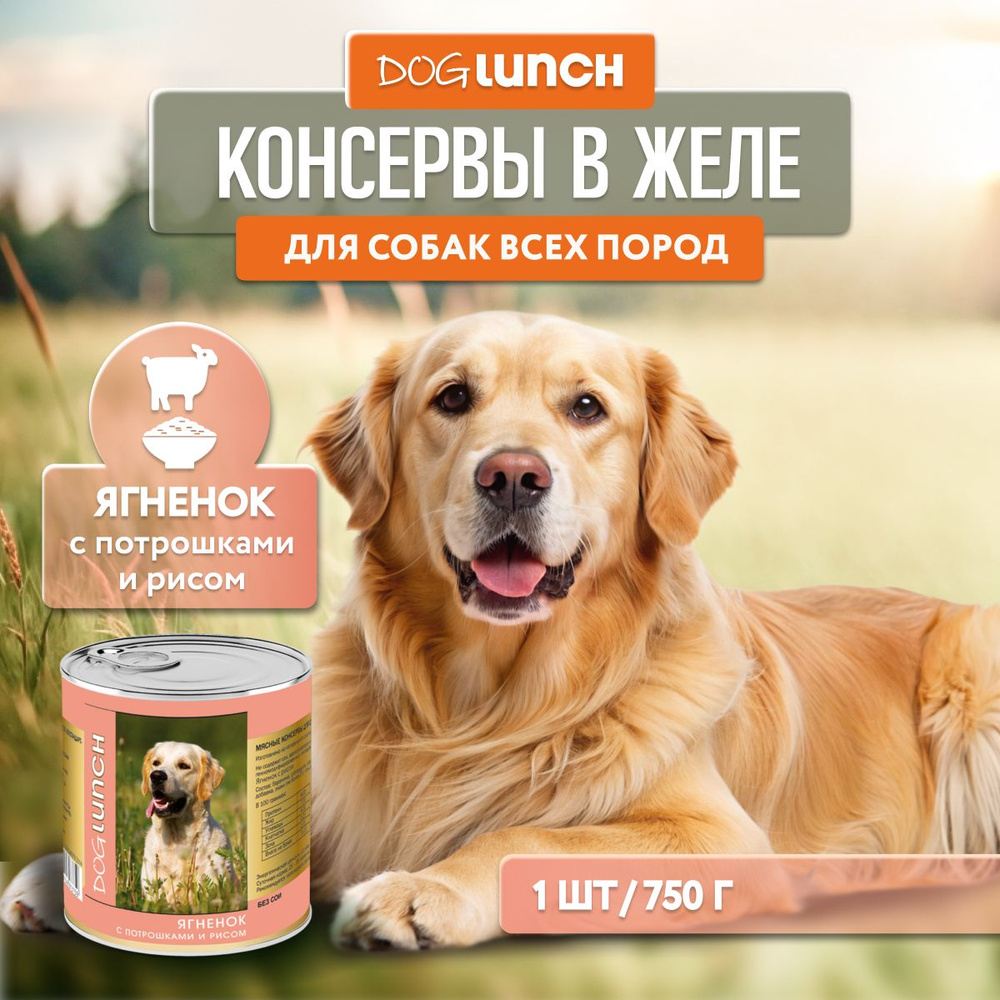 Влажный корм Dog Lunch с ягненком, потрошками и рисом для собак, 750г  #1