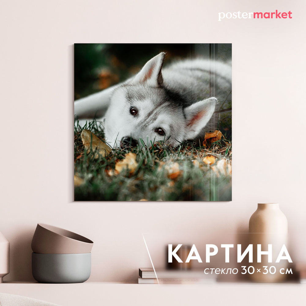 Картина на стекле Postermarket "Волк" 30х30 см #1