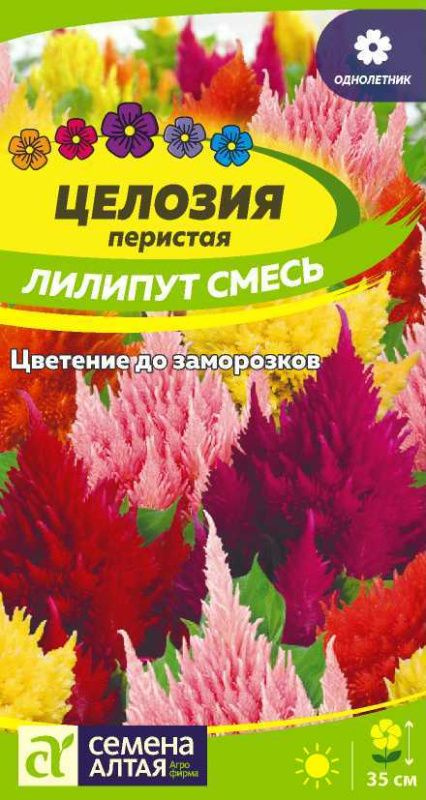 Семена Целозия ЛИЛИПУТ СМЕСЬ Перистая (0,1 г) - Семена Алтая  #1