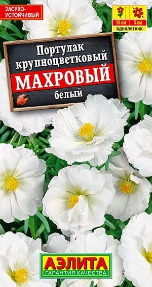 Портулак махровый белый. Семена. Красивый сорт популярного летника для солнечных участков с сухими, небогатыми #1