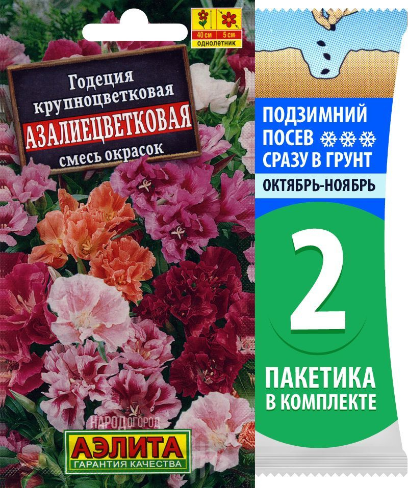 Семена Годеция крупноцветковая Азалиецветковая смесь окрасок, 2 пакетика по 0,2г  #1