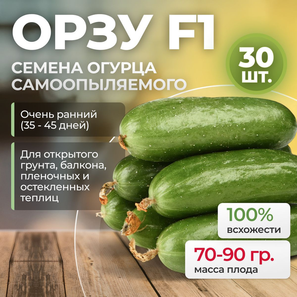 Орзу F1 семена огурца раннего, 30 шт. (Nunhems / ALEXAGRO). Высокоурожайный, корнишонный гибрид коктейльного #1