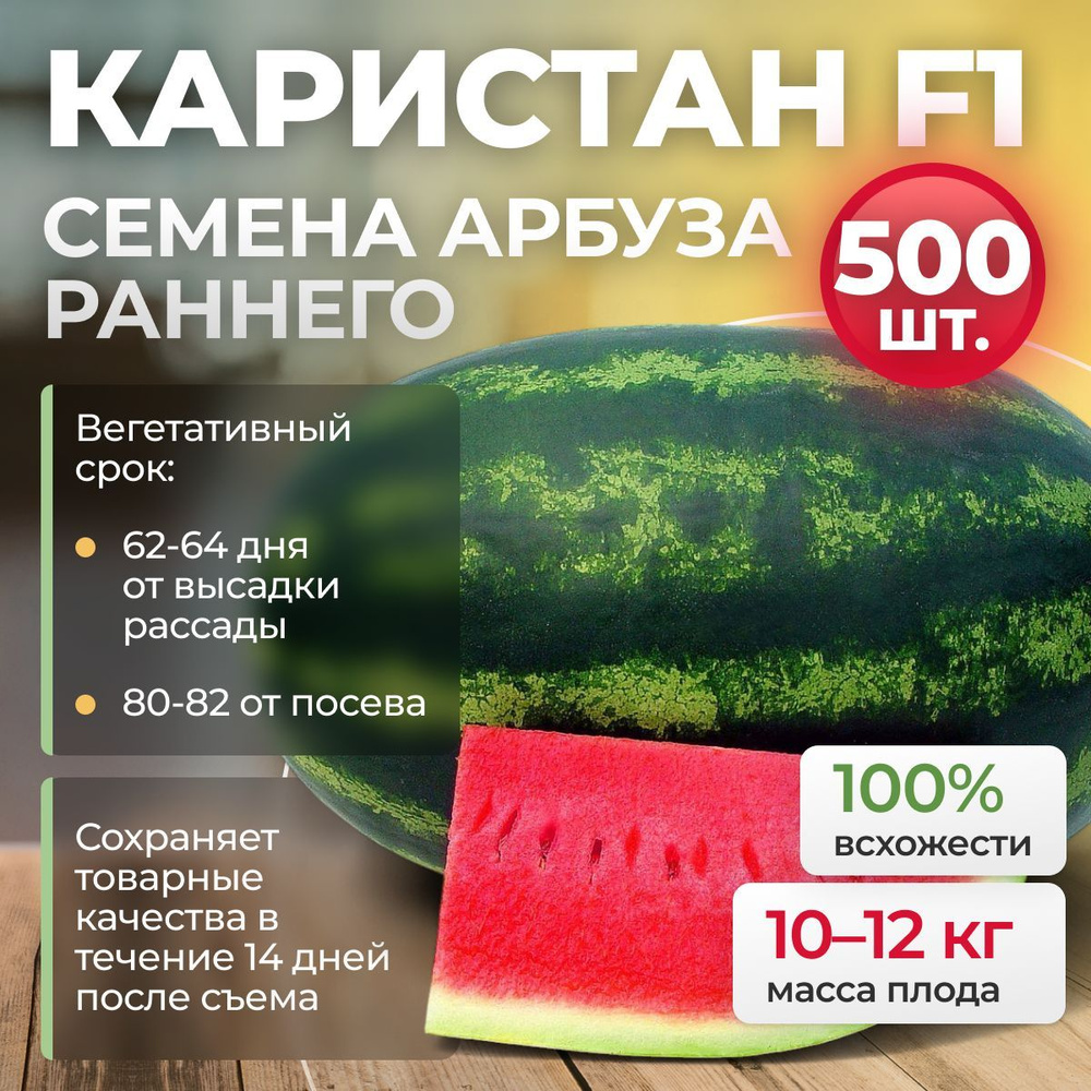 КАРИСТАН F1 семена арбуза, 500 шт. (Syngenta / ALEXAGRO). Среднеранний гибрид  #1