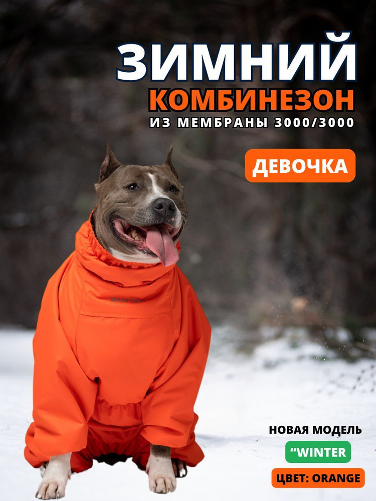 Зимний комбинезон для собак "Winter", 55/4XL, женский, orange #1