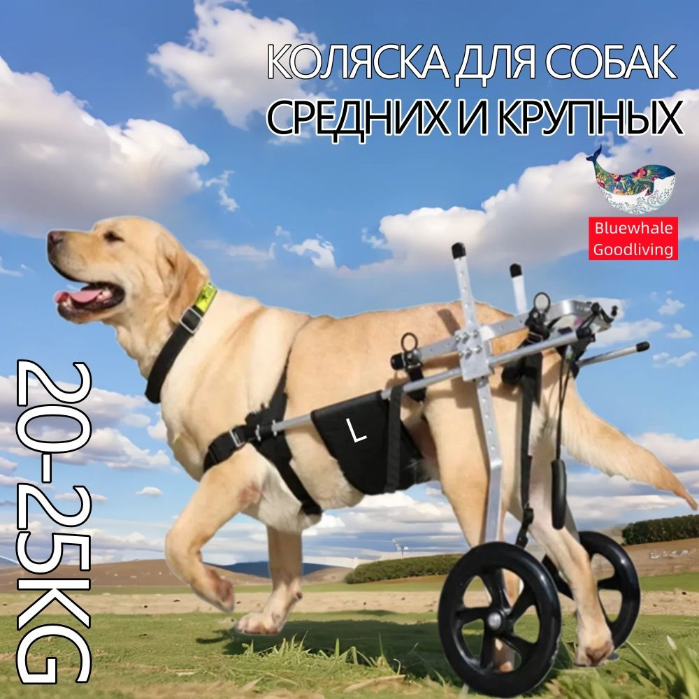 Двухколесная инвалидная коляска для домашних животных. Двухколесная ...