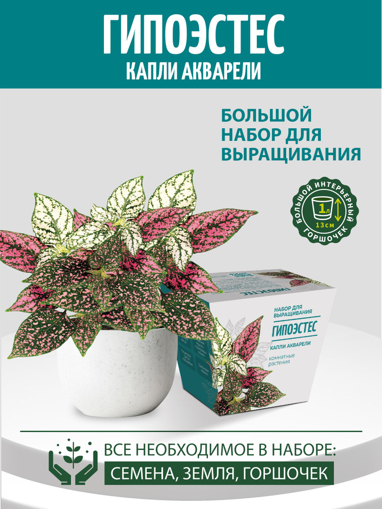 Набор для выращивания растений "Комнатные растения. Гипоэстес" #1
