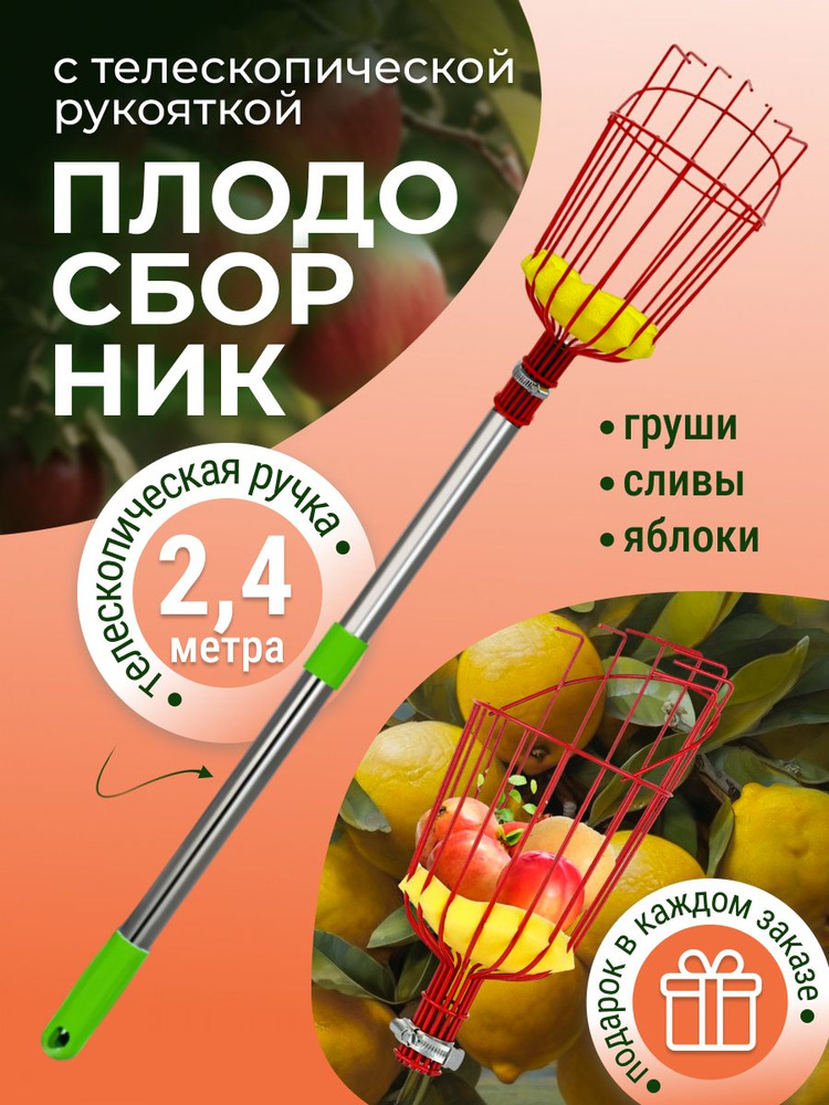 Плодосборник для фруктов с телескопической ручкой #1