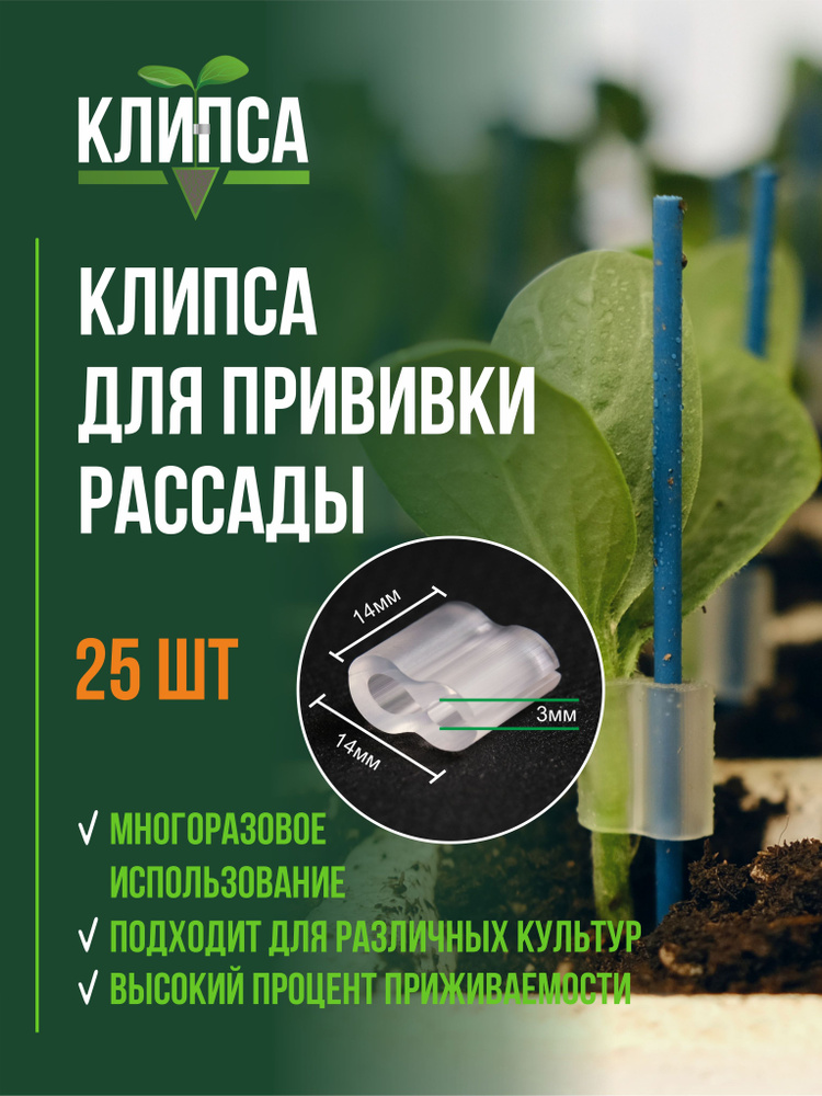 Набор для рассады #1
