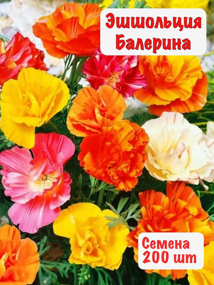 Семена 200 шт Эшшольция Балерина #1