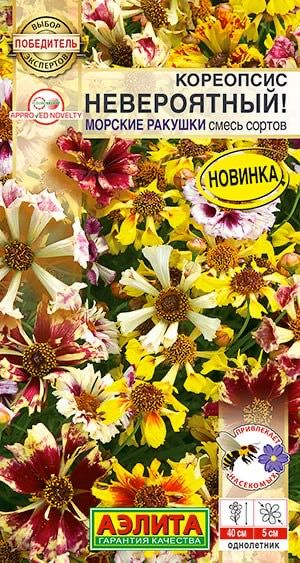 КОРЕОПСИС невероятный МОРСКИЕ РАКУШКИ. Семена. Однолетний кореопсис иностранной селекции с невероятной #1