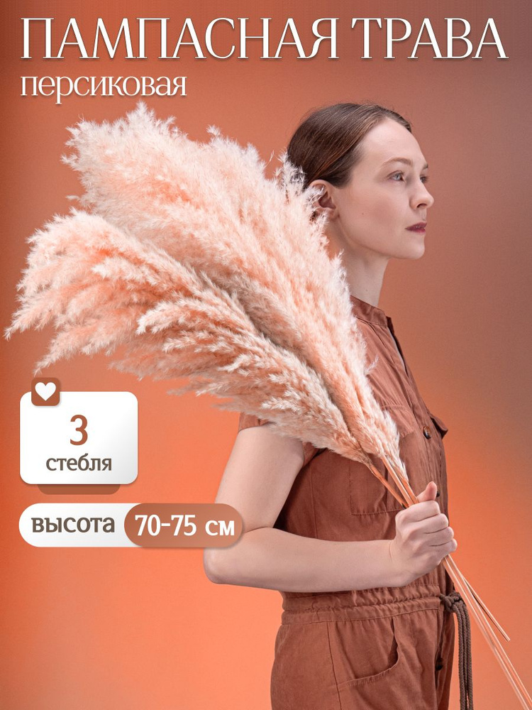 Сухоцвет - Пампасная трава персиковая 3 шт, сухоцветы от Elka.bio #1