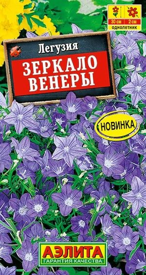 ЛЕГУЗИЯ ЗЕРКАЛО ВЕНЕРЫ. Семена. Это изящный однолетник со стелющейся формой стеблей #1