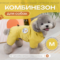 Общее описание породы мальтийская болонка, характер - dog-andorras Jimdo-Page!