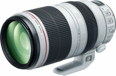 Canon EF 70-300MM F/4-5.6L Is Usm купить на OZON по низкой цене