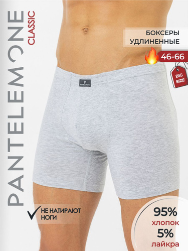 Трусы боксеры Underwear expert - купить с доставкой по выгодным ценам в  интернет-магазине OZON (926348366)