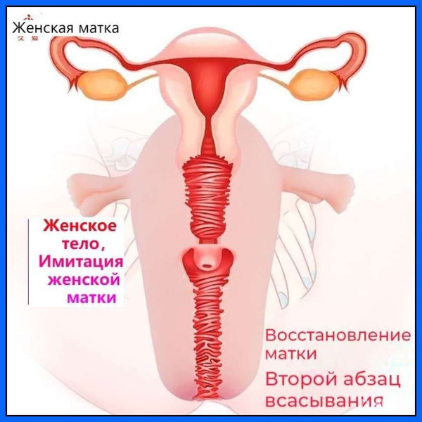 Бешеную матку сложно удовлетворить Бешеную матку сложно удовлетворить