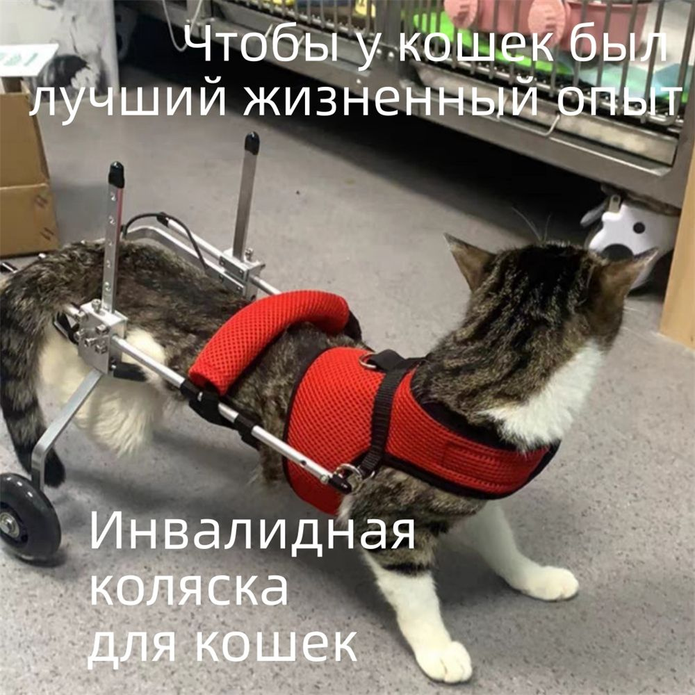 Кошачья инвалидная коляска.Двухколесная реабилитационная коляска для ...