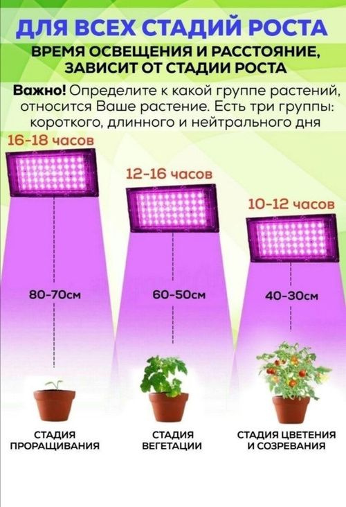 Ремонт светодиодного прожектора