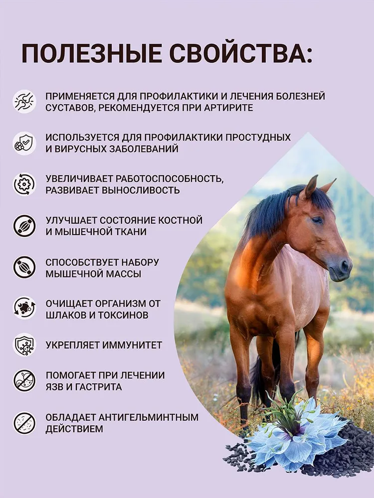 Масло Черного тмина кормовое нерафинированное холодного отжима Биолио, 3 л, 3 л, фото 2