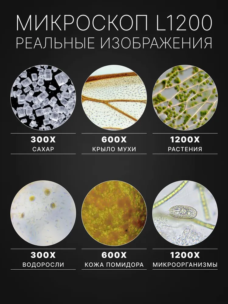 Микроскоп металлический (c Гарантией 1 год) с кейсом L1200, полный набор, вариант, фото 3