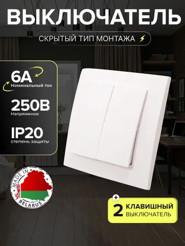 Выключатель 2-клавишный скрытой установки 6А IP20, 1 шт.