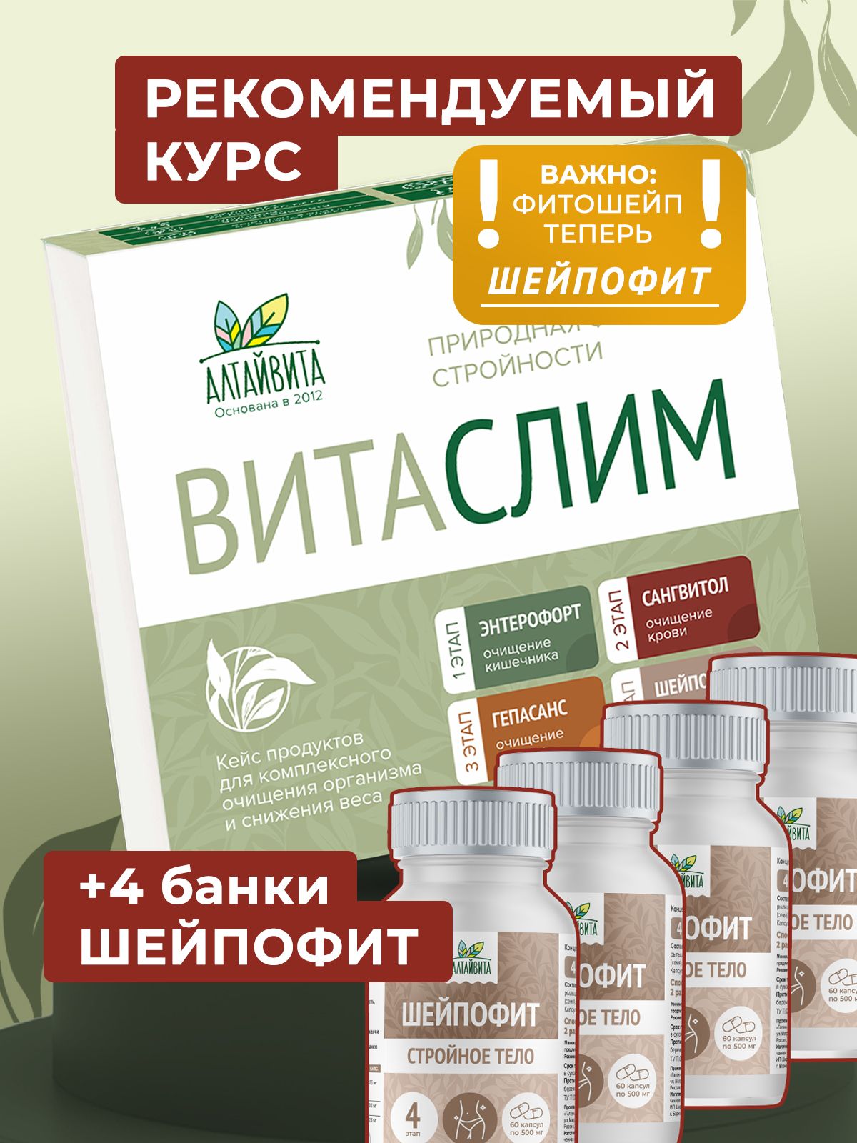 Витаслим кейс + 4 банки Шейпофит (Энтерофорт, Сангвитол, Гепасанс, 6 шт Шейпофит)