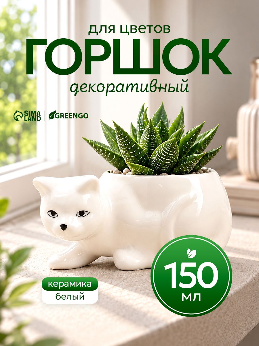 Горшок для цветов 5,5 см, керамический, интерьерный, для суккулентов и кактусов, мини-кашпо