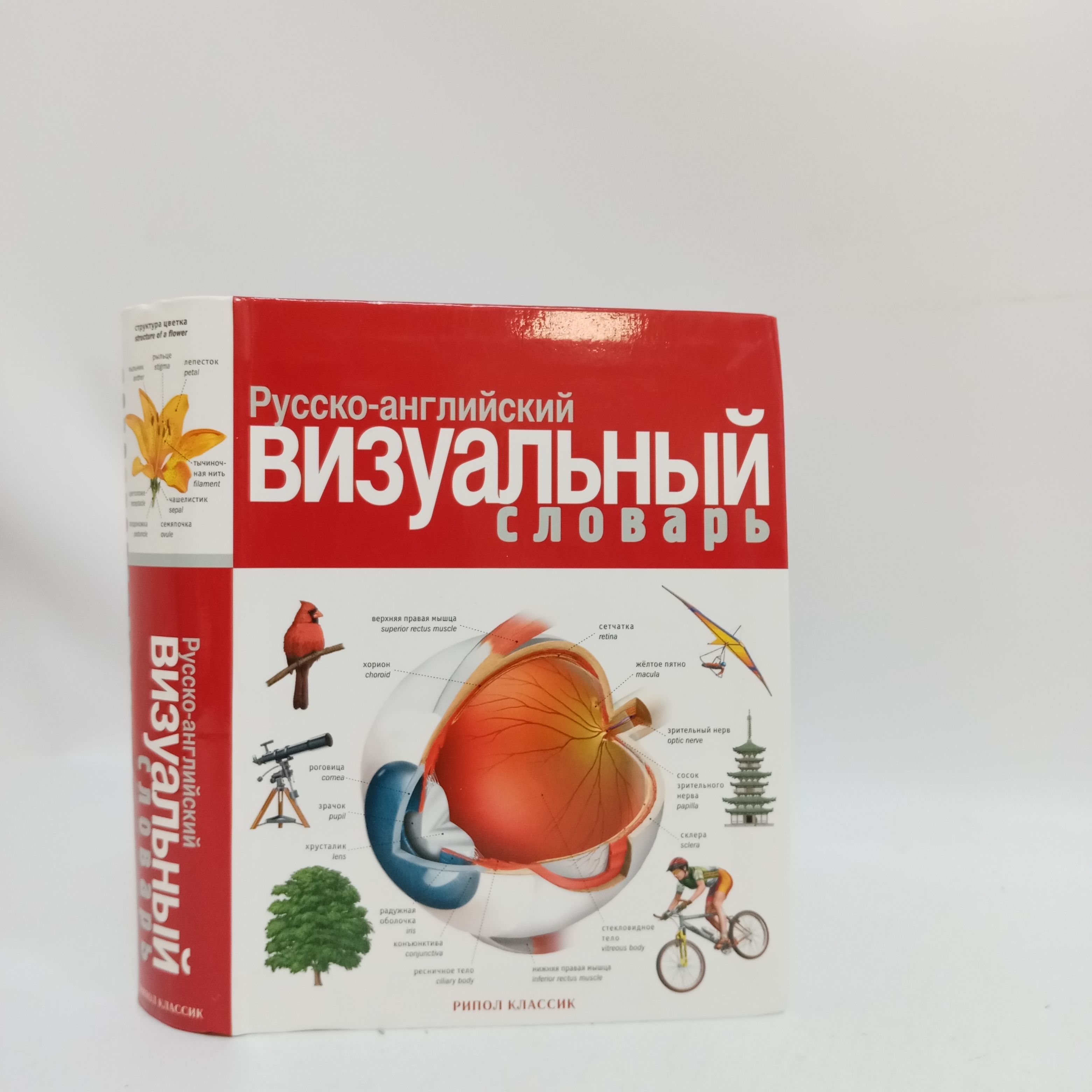Русско-английский визуальный словарь | Корбей Жан-Клод купить на
