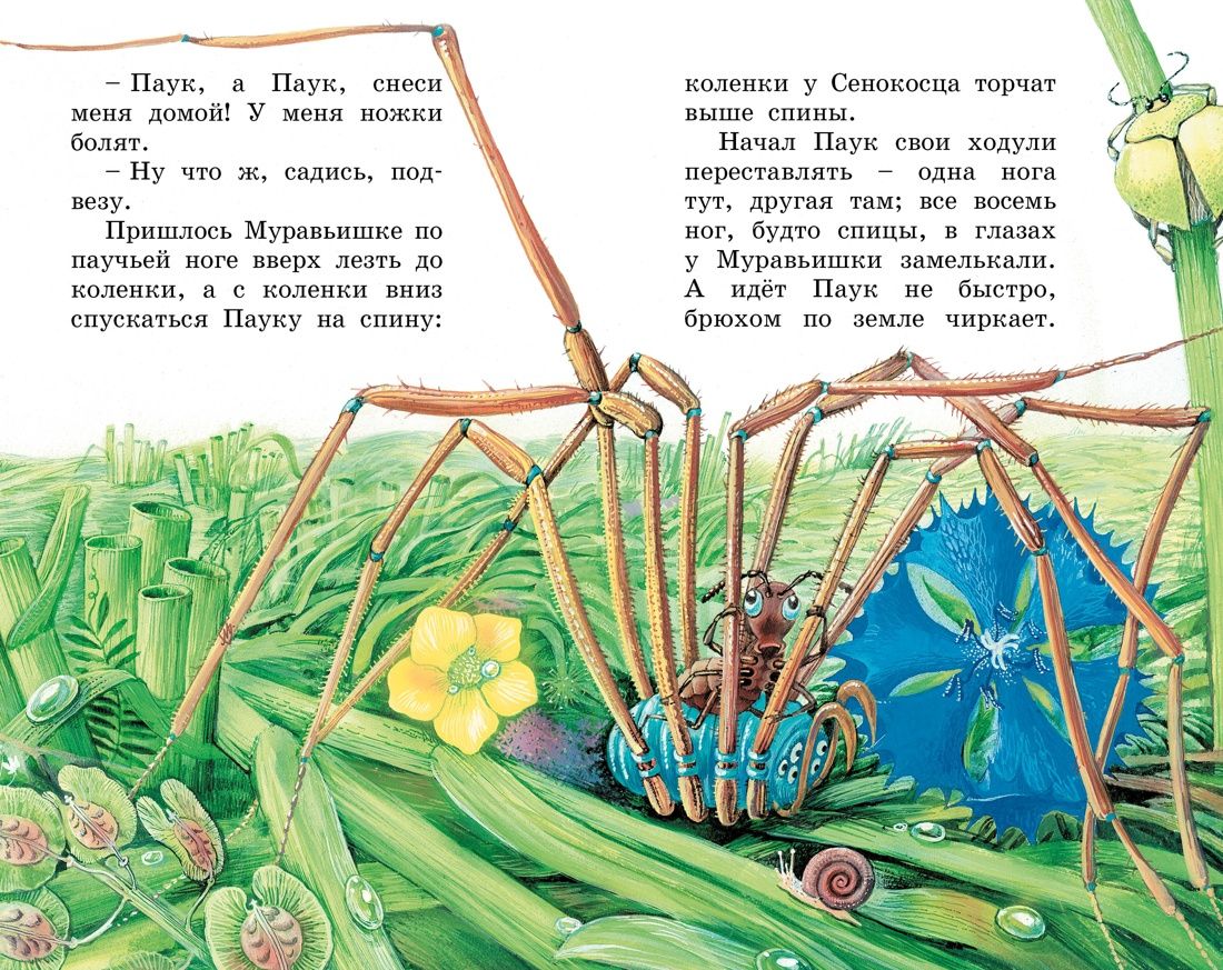 Как Муравьишка домой спешил | How Antyushka Rushed Home - Ozon image 7