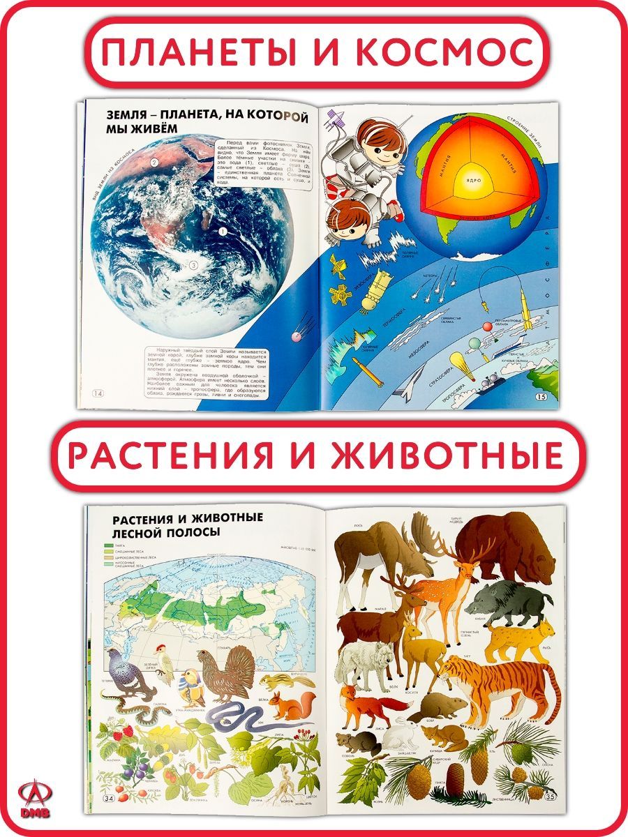 Атлас для детей Мир и человек. 2026 г. Детский атлас для дошкольников и школьников. ДИЭМБИ. | Reference Book - Ozon image 3
