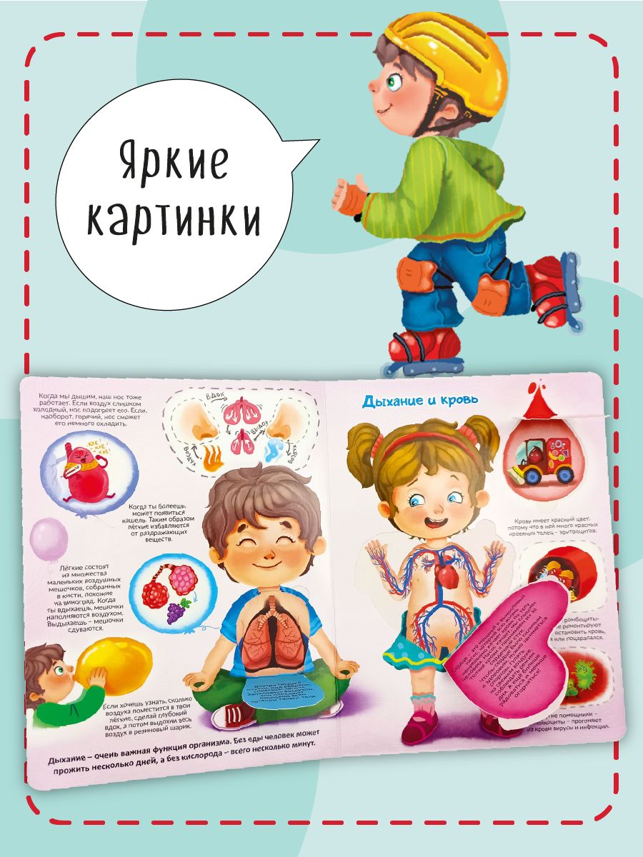 Книга детская для малышей с окошками Виммельбух | Cardboard Book for Toddlers - Ozon image 4