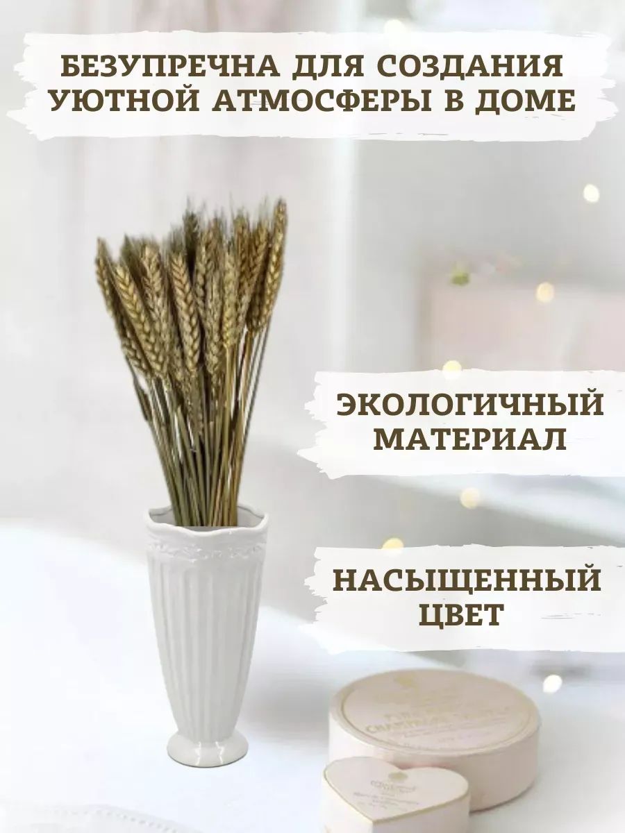 Пшеница белый