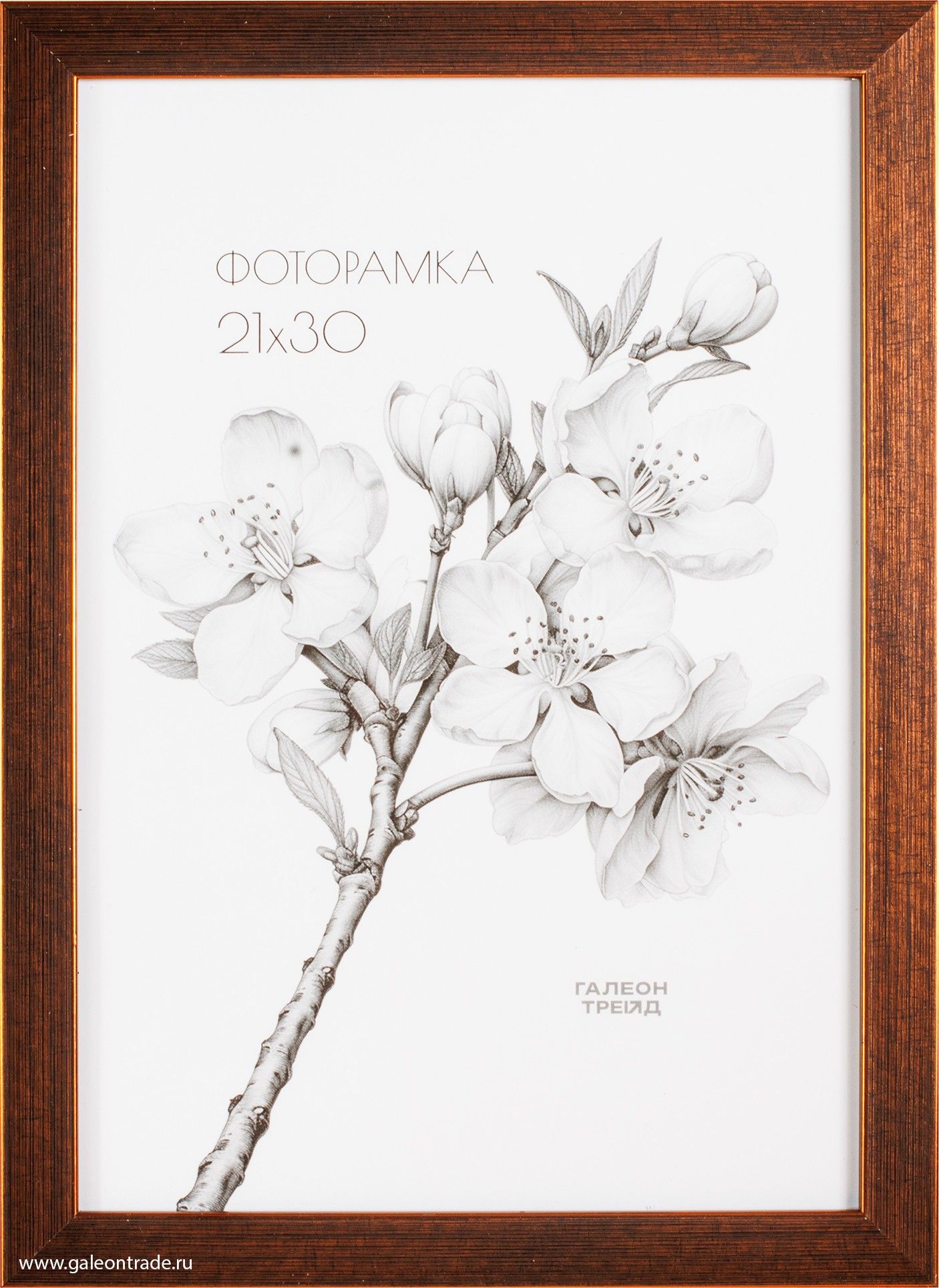 Фоторамка пластиковая 21 х 30 см, коричневая
