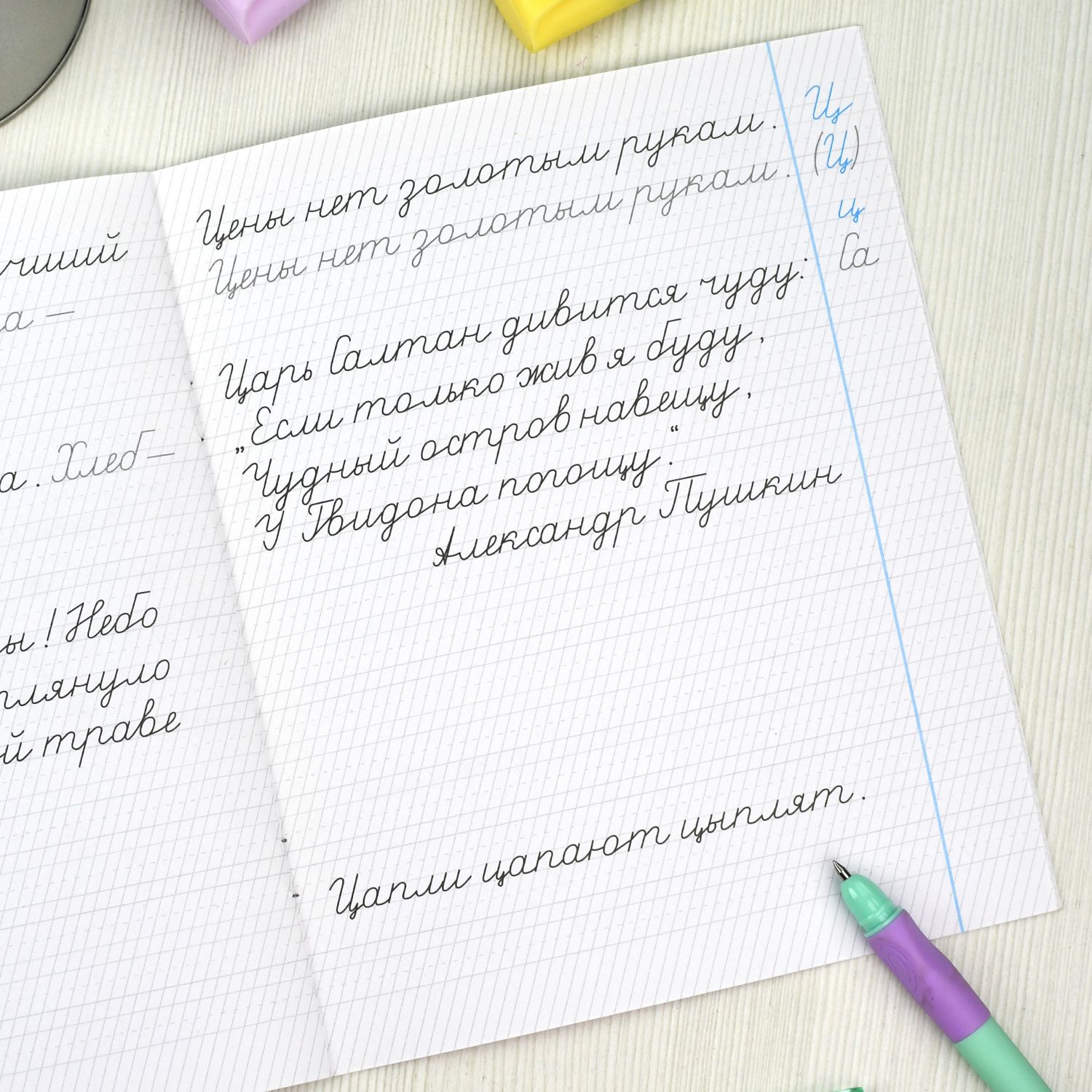 Прописи для дошкольников, тетрадь для детей. Серия "Тренажер по чистописанию". 165х210 мм, 16 л. | School VPR Practice Tests - Ozon image 7