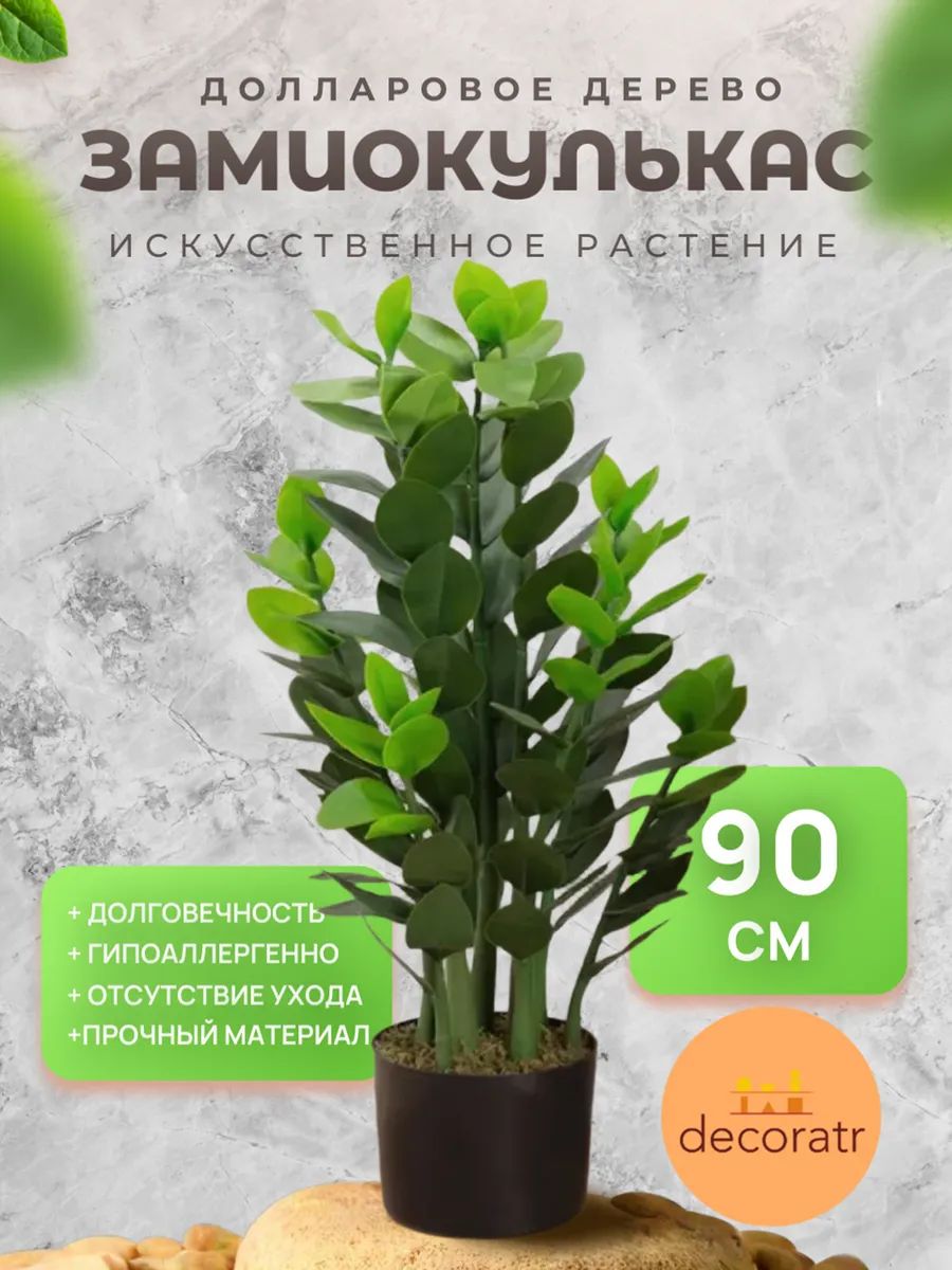 Замиакулькас 90cm DS2021-089 Китай
