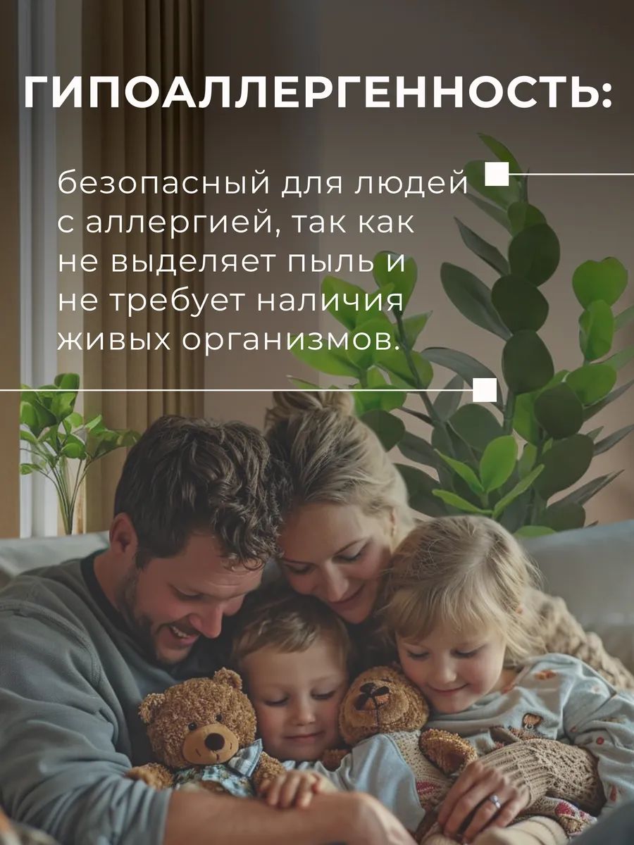 Замиакулькас 90cm DS2021-089 Китай